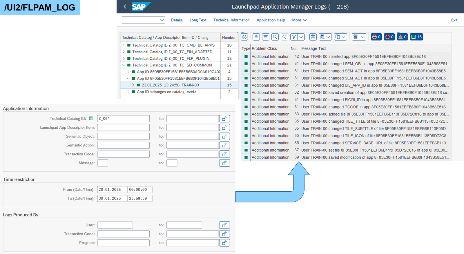 SAP Fiori Launchpad Application Manager Logs 的屏幕截图。左侧是应用信息和时间限制部分。右侧是包含消息文本和详细信息的日志列表。