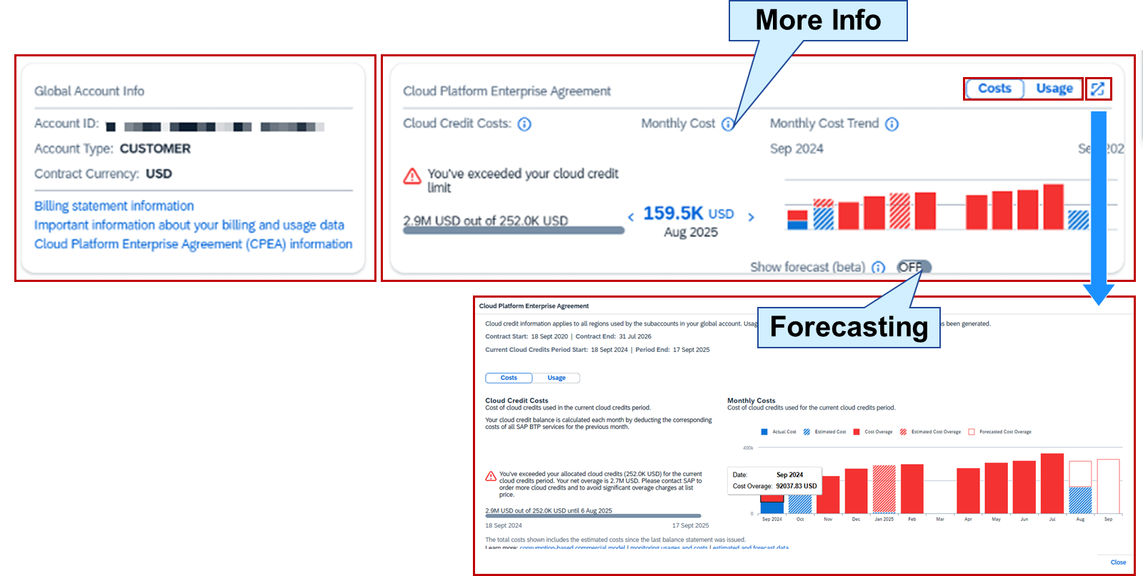 BTPCostContractTransparency_007