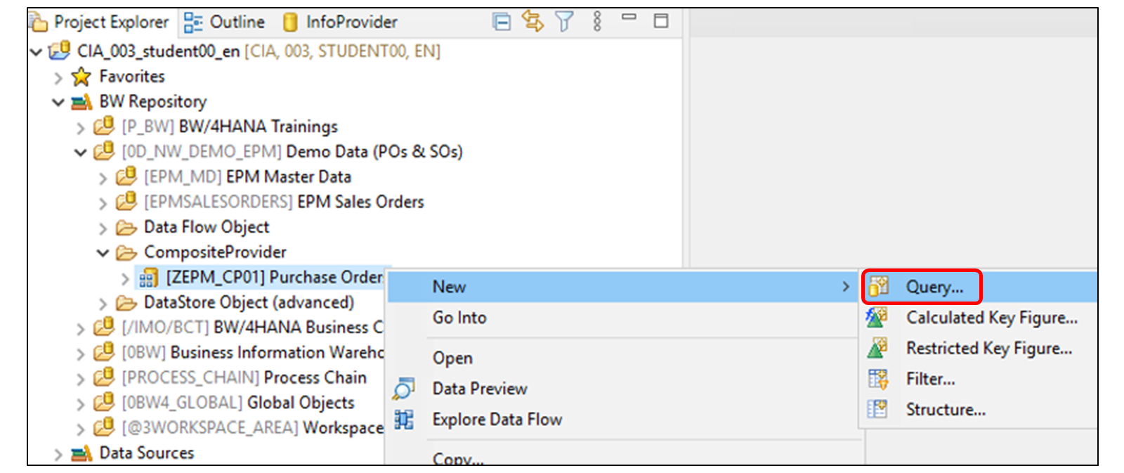 BWMT Create Query_LJ