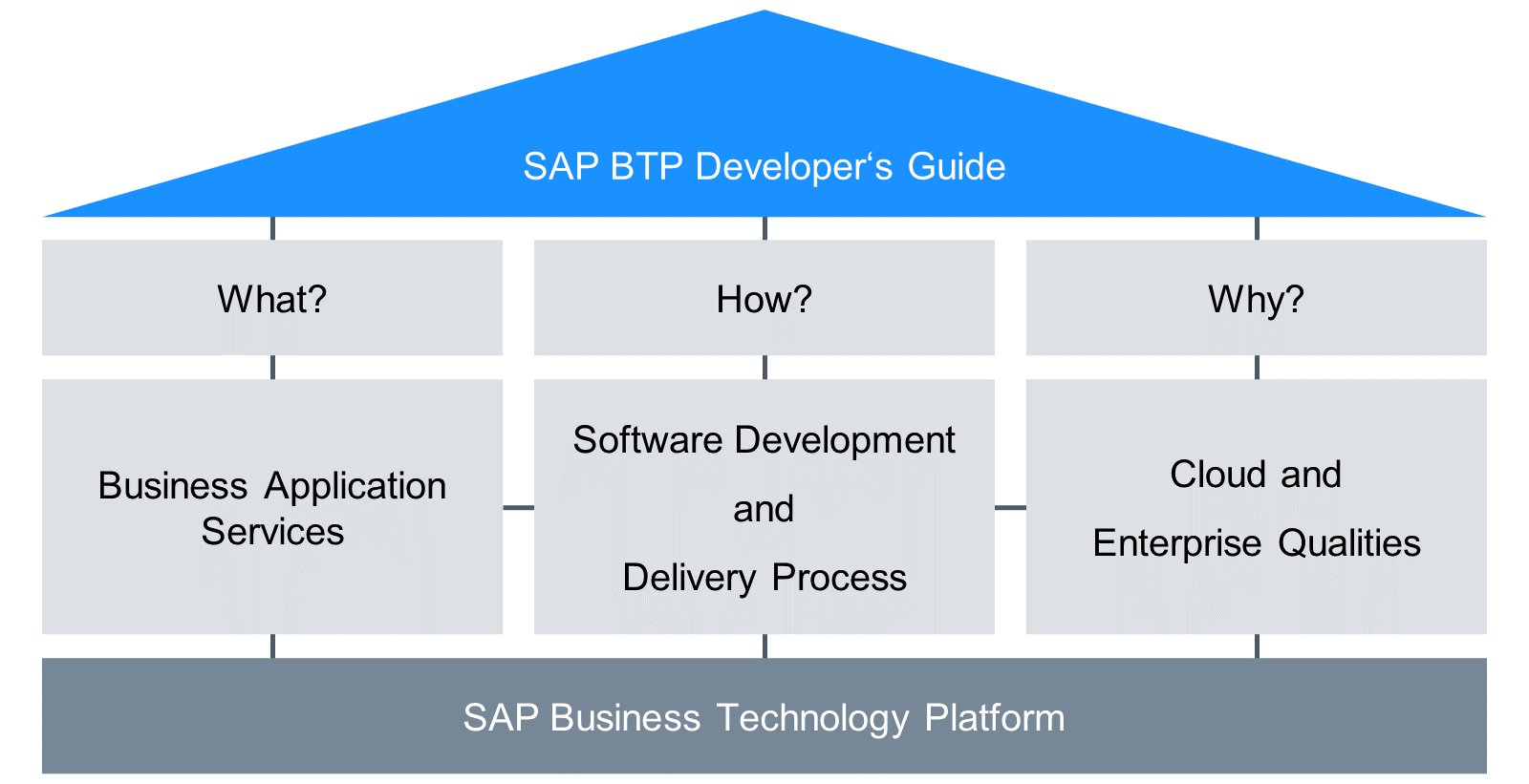 该图展示了 SAP BTP 开发人员指南的要素——是什么、如何做以及为什么？