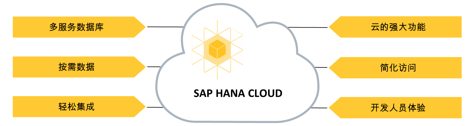 SAP HANA Cloud 价值主张的可视化。